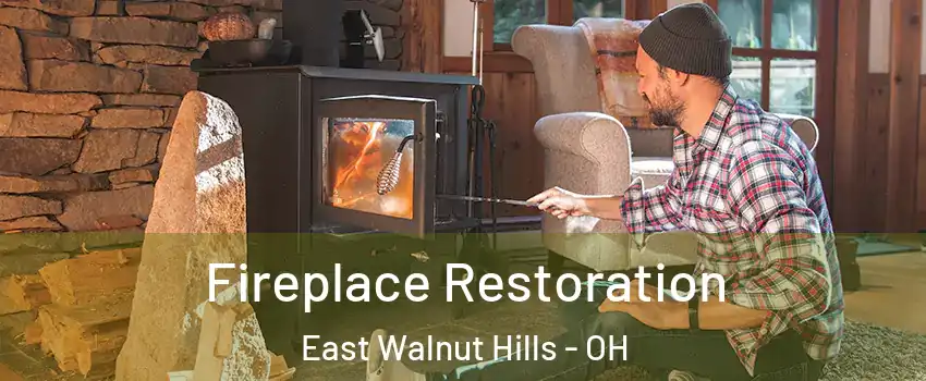 Fireplace Restoration East Walnut Hills - OH