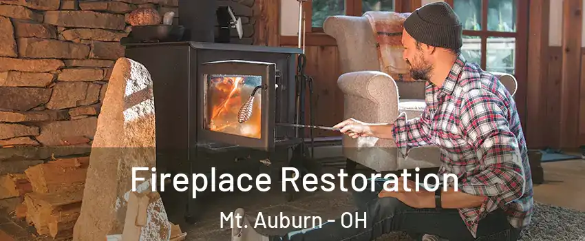 Fireplace Restoration Mt. Auburn - OH