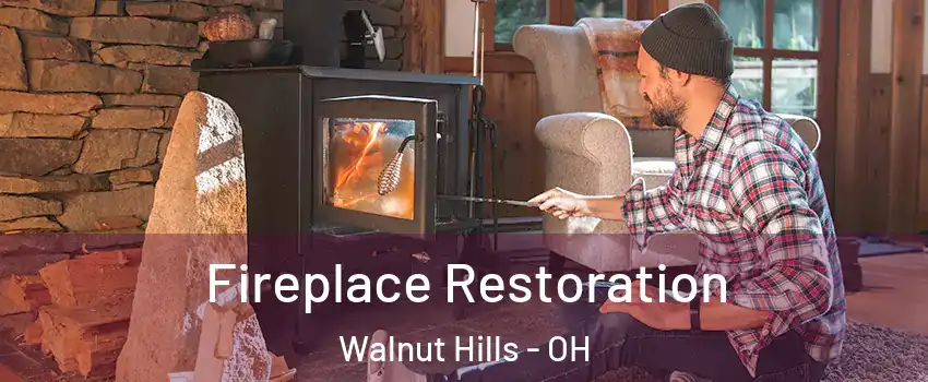 Fireplace Restoration Walnut Hills - OH