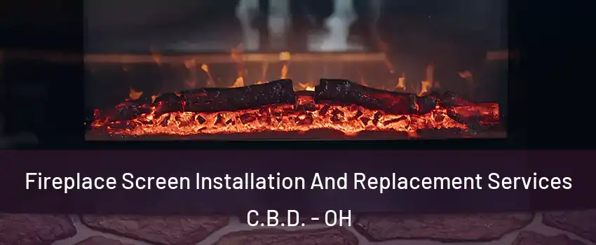 Fireplace Screen Installation And Replacement Services C.B.D. - OH