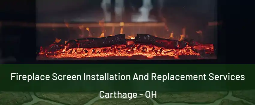 Fireplace Screen Installation And Replacement Services Carthage - OH