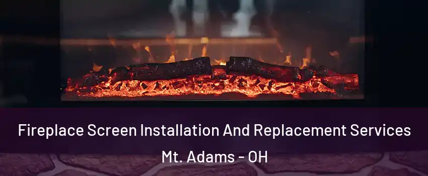 Fireplace Screen Installation And Replacement Services Mt. Adams - OH