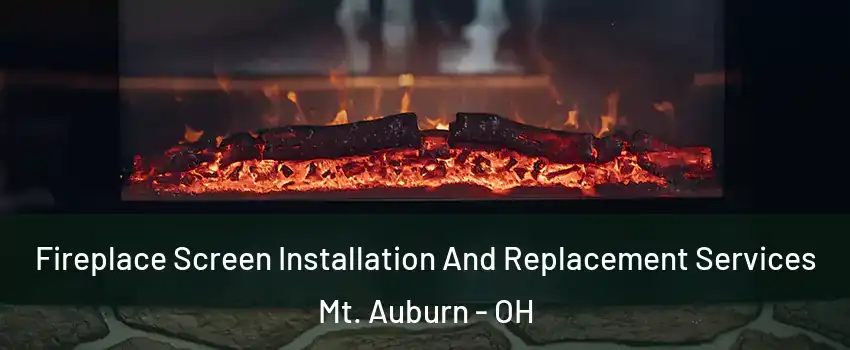 Fireplace Screen Installation And Replacement Services Mt. Auburn - OH