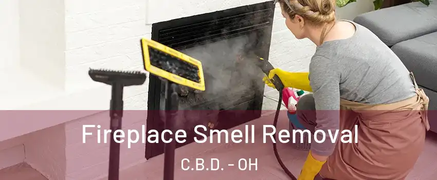 Fireplace Smell Removal C.B.D. - OH