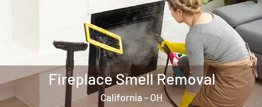 Fireplace Smell Removal California - OH