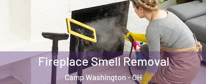 Fireplace Smell Removal Camp Washington - OH