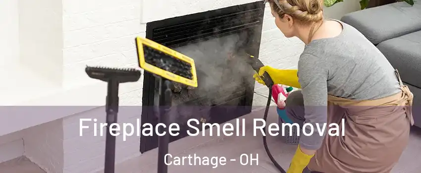 Fireplace Smell Removal Carthage - OH