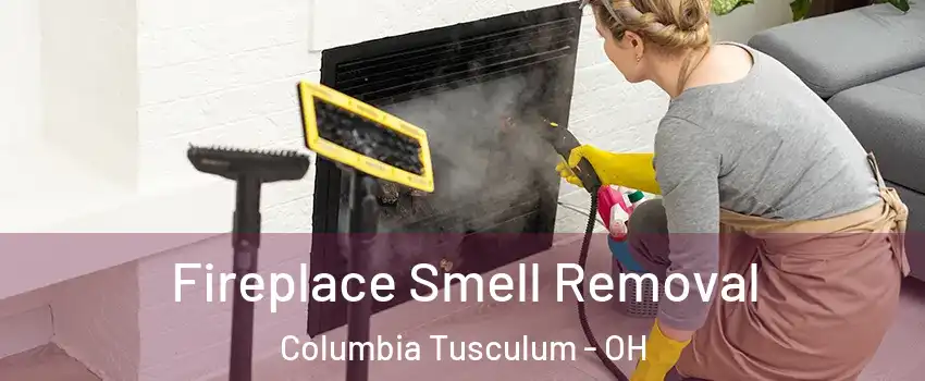 Fireplace Smell Removal Columbia Tusculum - OH