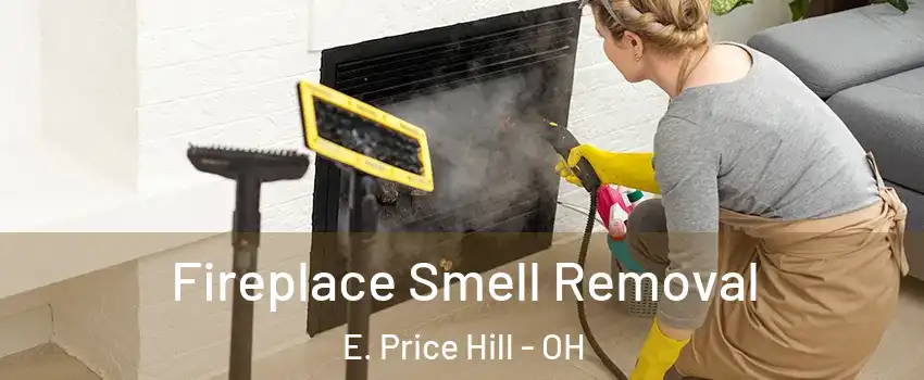 Fireplace Smell Removal E. Price Hill - OH