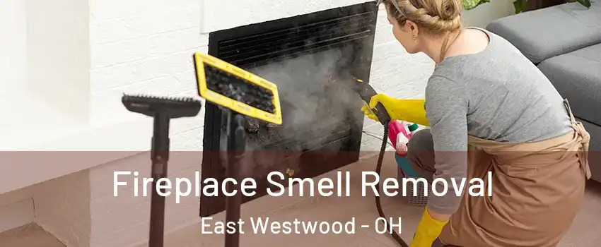 Fireplace Smell Removal East Westwood - OH