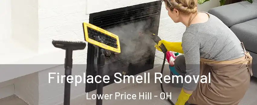 Fireplace Smell Removal Lower Price Hill - OH