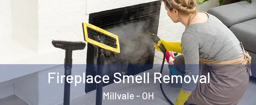 Fireplace Smell Removal Millvale - OH