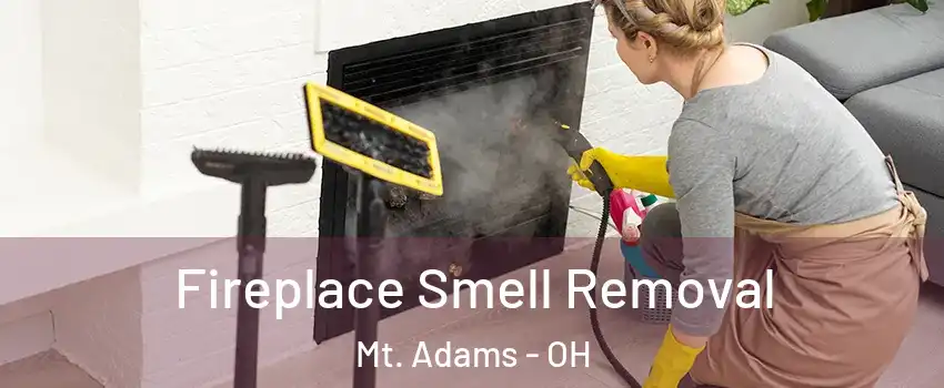 Fireplace Smell Removal Mt. Adams - OH