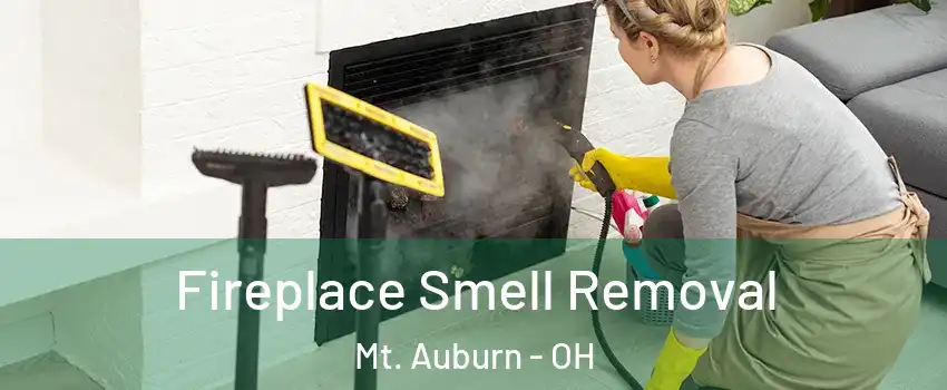 Fireplace Smell Removal Mt. Auburn - OH