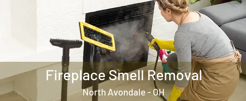 Fireplace Smell Removal North Avondale - OH