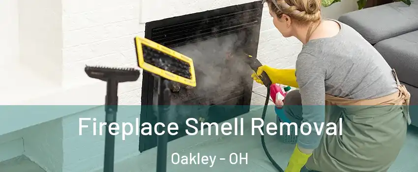 Fireplace Smell Removal Oakley - OH