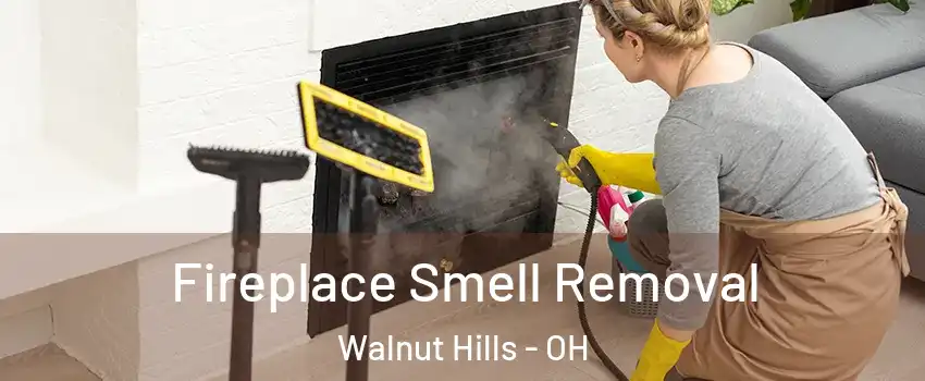 Fireplace Smell Removal Walnut Hills - OH