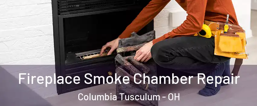 Fireplace Smoke Chamber Repair Columbia Tusculum - OH