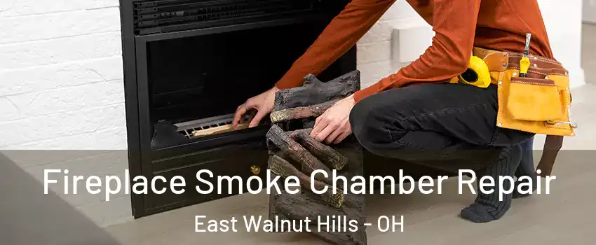 Fireplace Smoke Chamber Repair East Walnut Hills - OH