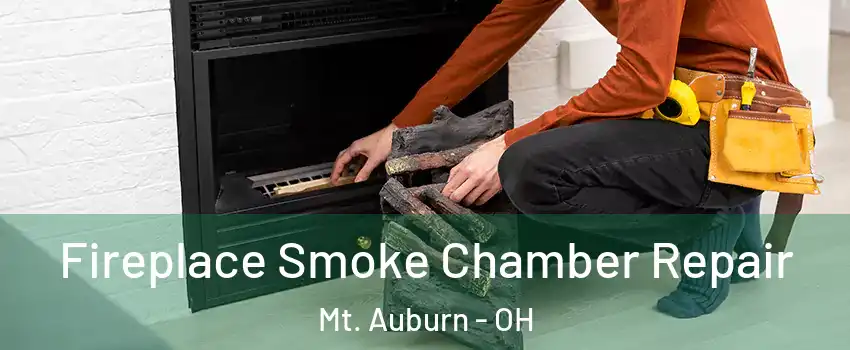 Fireplace Smoke Chamber Repair Mt. Auburn - OH