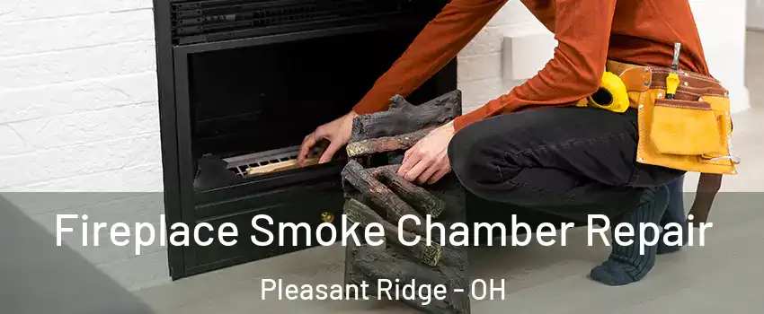 Fireplace Smoke Chamber Repair Pleasant Ridge - OH