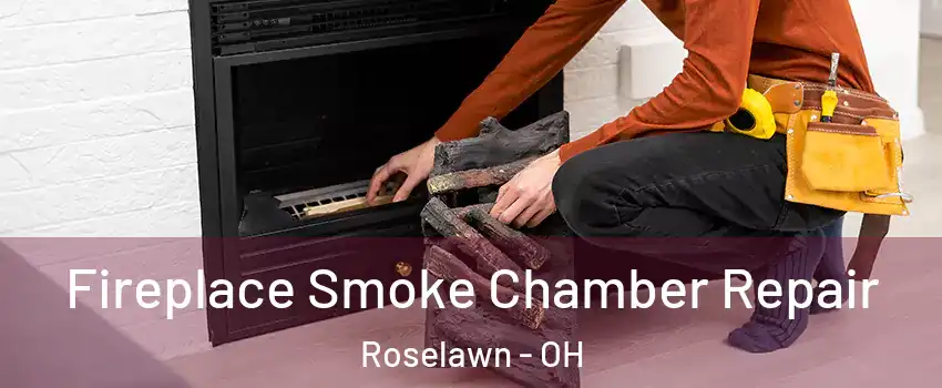 Fireplace Smoke Chamber Repair Roselawn - OH