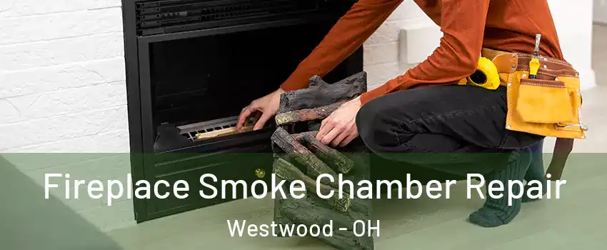 Fireplace Smoke Chamber Repair Westwood - OH