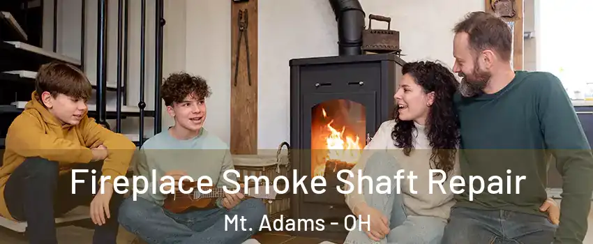 Fireplace Smoke Shaft Repair Mt. Adams - OH