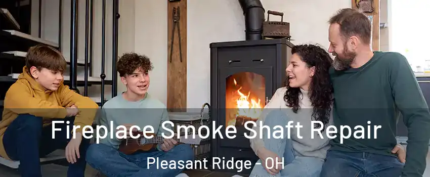 Fireplace Smoke Shaft Repair Pleasant Ridge - OH