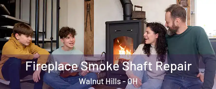 Fireplace Smoke Shaft Repair Walnut Hills - OH