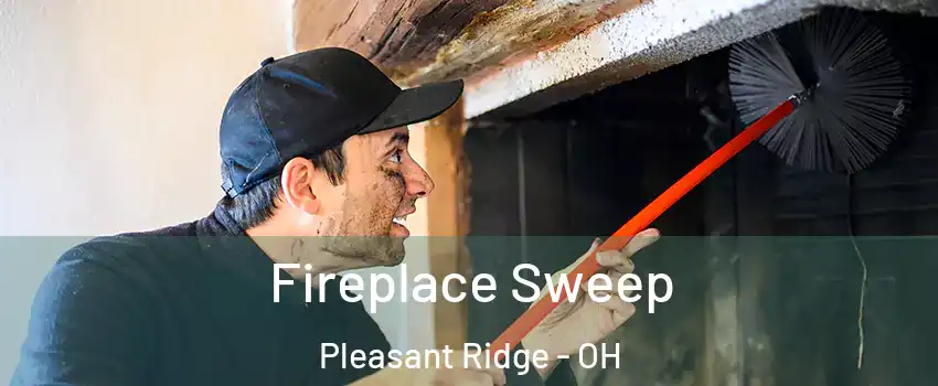 Fireplace Sweep Pleasant Ridge - OH