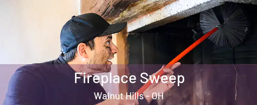 Fireplace Sweep Walnut Hills - OH