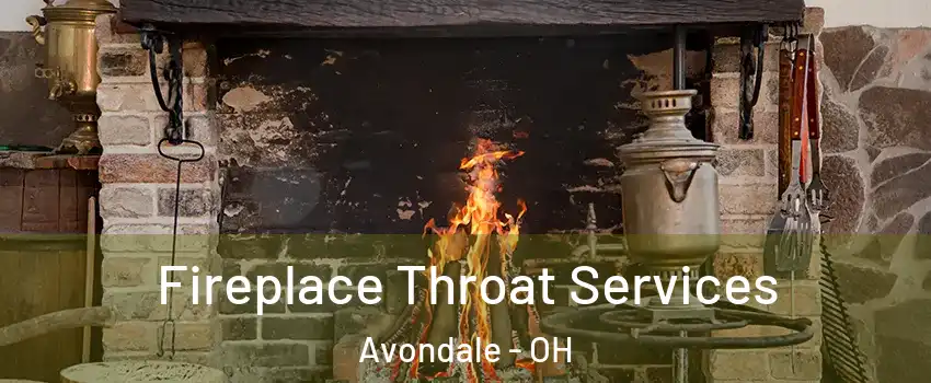 Fireplace Throat Services Avondale - OH