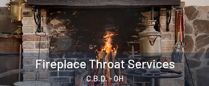 Fireplace Throat Services C.B.D. - OH