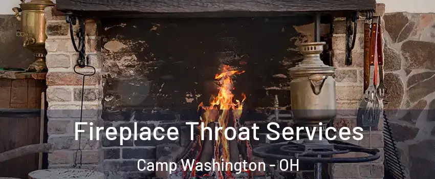 Fireplace Throat Services Camp Washington - OH