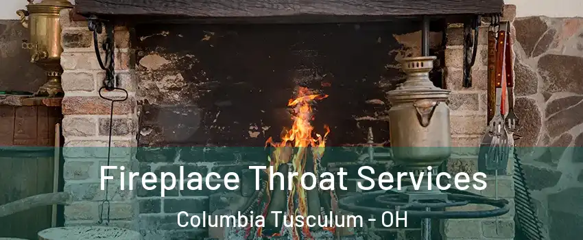 Fireplace Throat Services Columbia Tusculum - OH