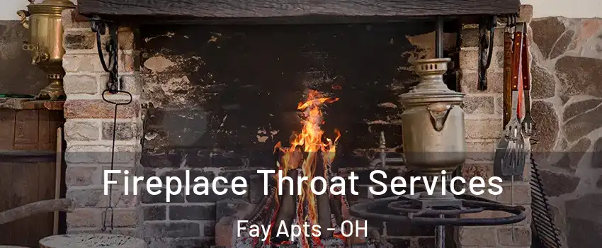 Fireplace Throat Services Fay Apts - OH