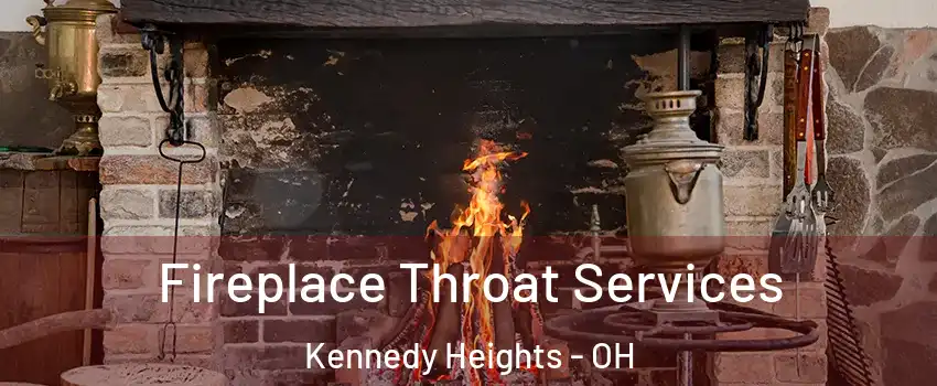 Fireplace Throat Services Kennedy Heights - OH