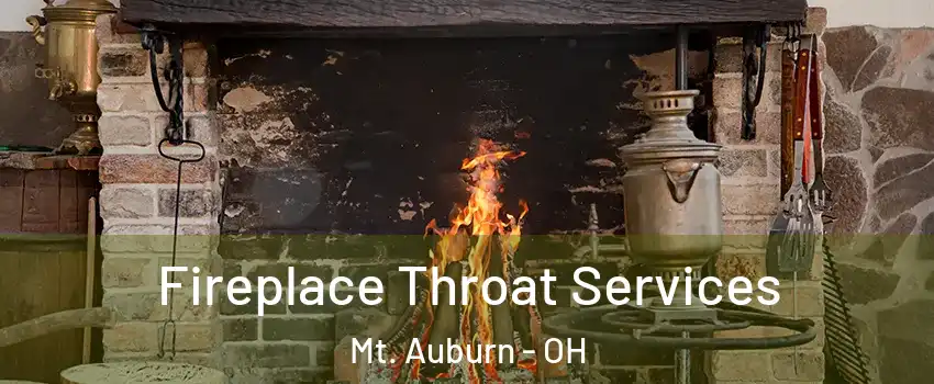 Fireplace Throat Services Mt. Auburn - OH