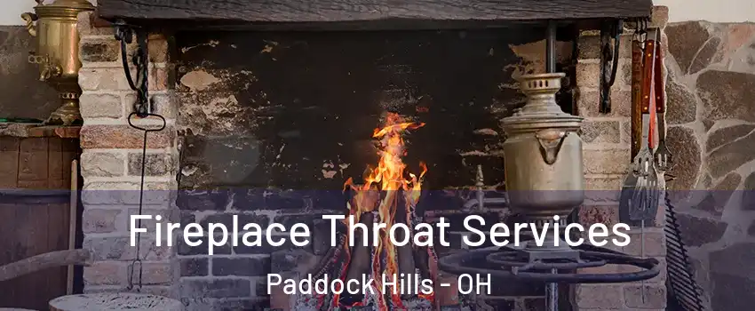 Fireplace Throat Services Paddock Hills - OH