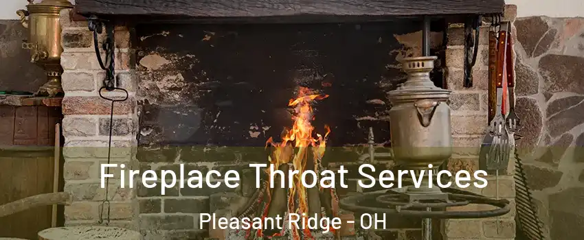 Fireplace Throat Services Pleasant Ridge - OH