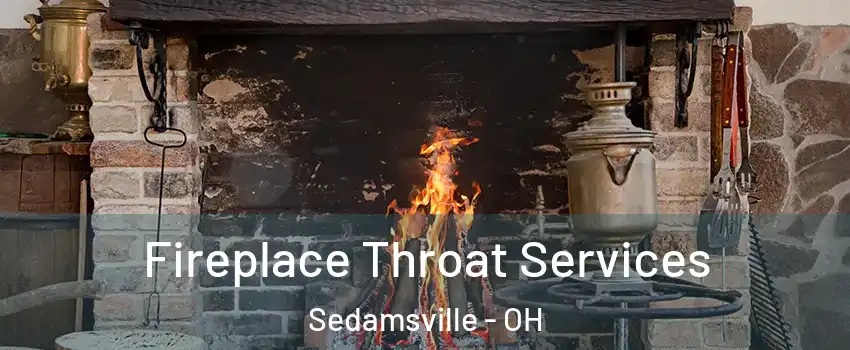 Fireplace Throat Services Sedamsville - OH