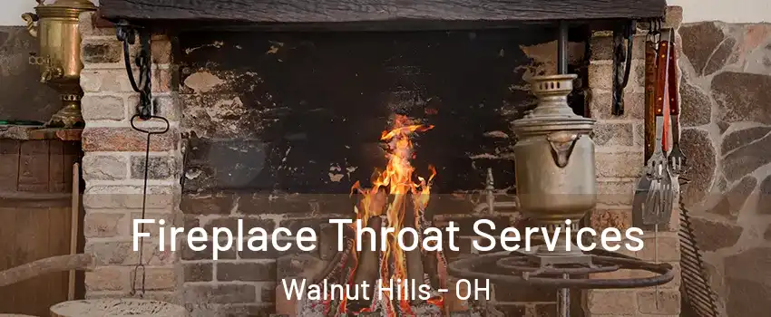 Fireplace Throat Services Walnut Hills - OH