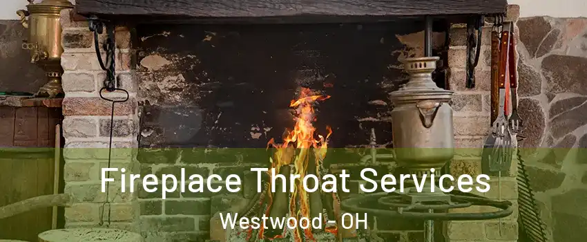 Fireplace Throat Services Westwood - OH