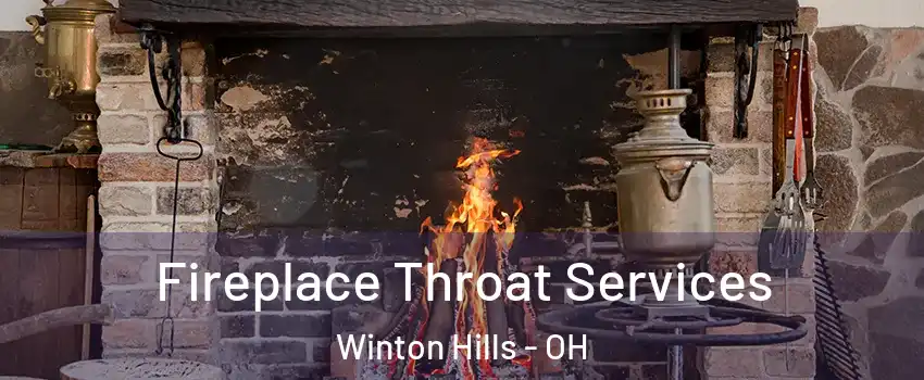 Fireplace Throat Services Winton Hills - OH