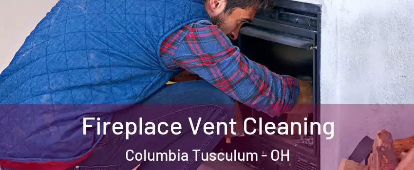 Fireplace Vent Cleaning Columbia Tusculum - OH