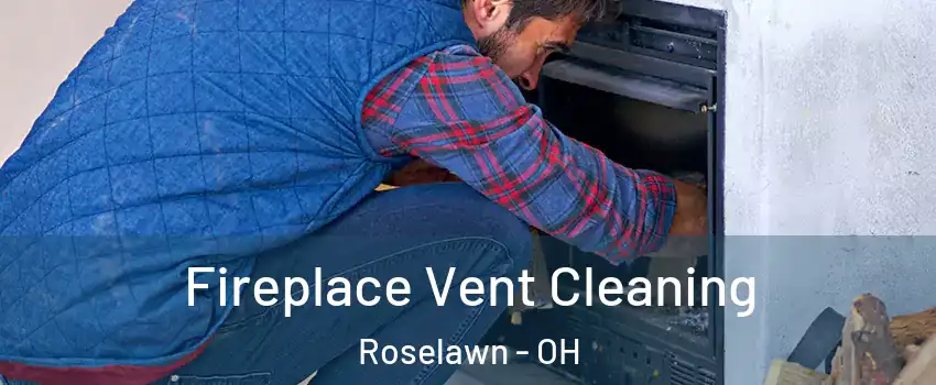 Fireplace Vent Cleaning Roselawn - OH