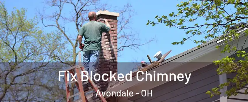 Fix Blocked Chimney Avondale - OH