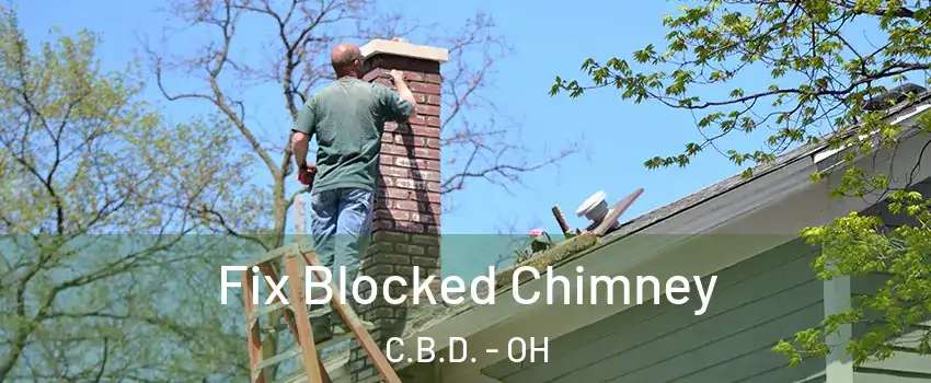 Fix Blocked Chimney C.B.D. - OH