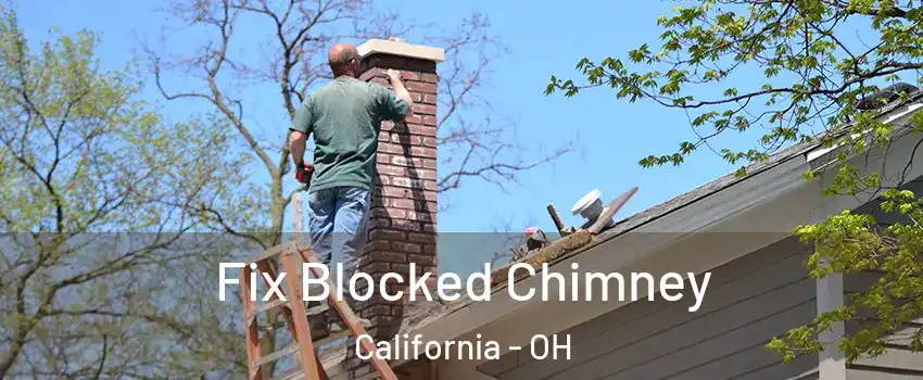 Fix Blocked Chimney California - OH